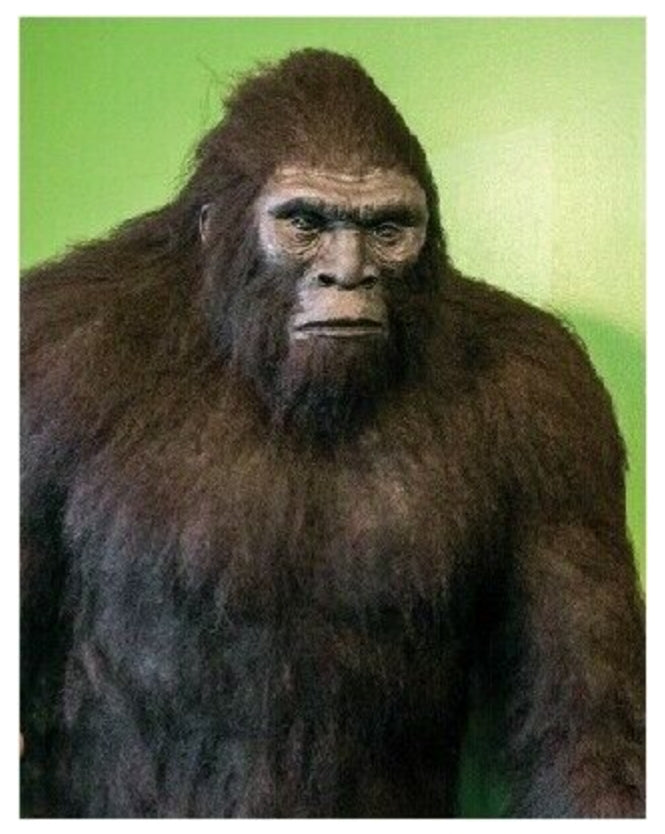2019 North Carolina Bigfoot Print Cast Replica Limited Edition Footprint for sale Bigfoot plaster cast