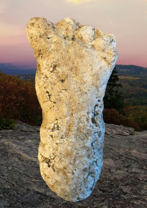 2019 North Carolina Bigfoot Print Cast Replica Limited Edition Footprint for sale Bigfoot plaster cast