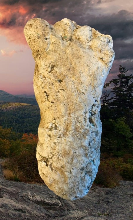 2019 North Carolina Bigfoot Print Cast Replica Limited Edition Footprint for sale Bigfoot plaster cast