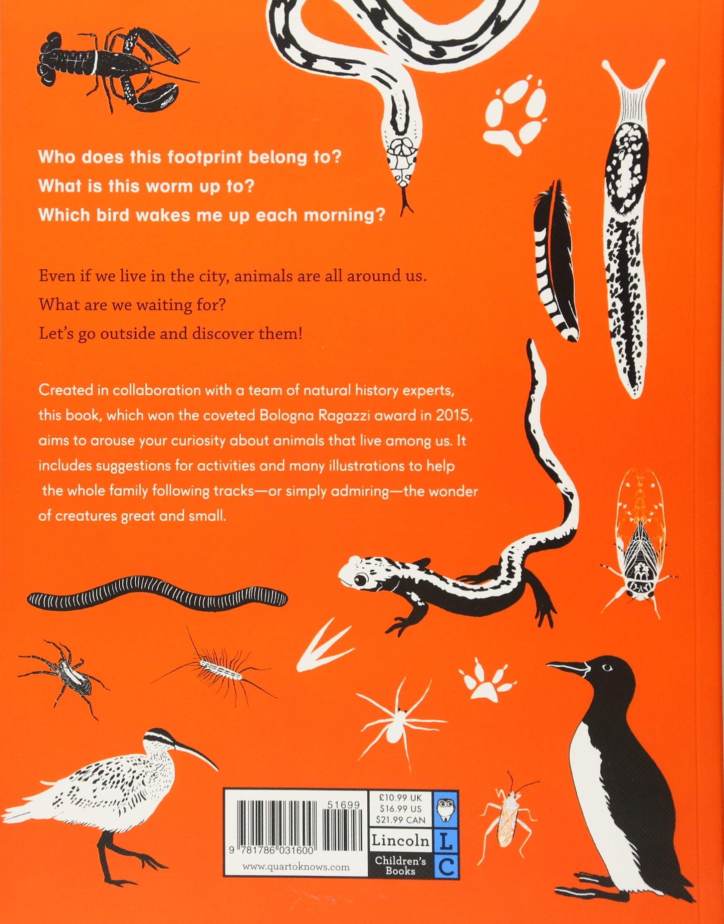 Outside: Discovering Animals by Maria Ann Peixe Dias, In?as Teixeira do Rosario, and Bernardo P. Carvalho