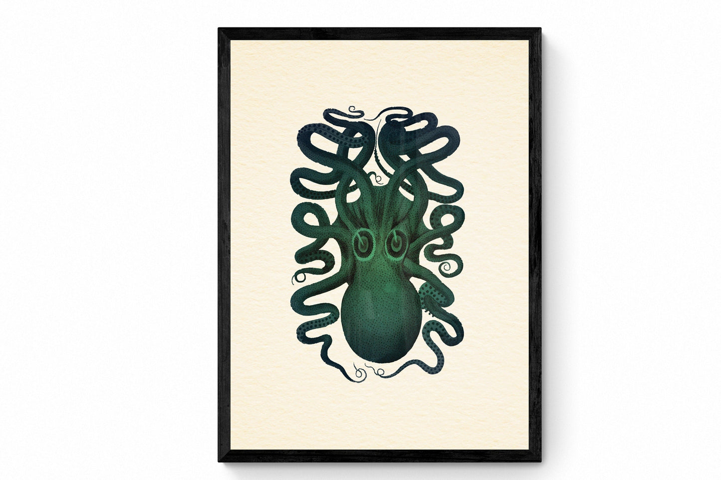 Octopus