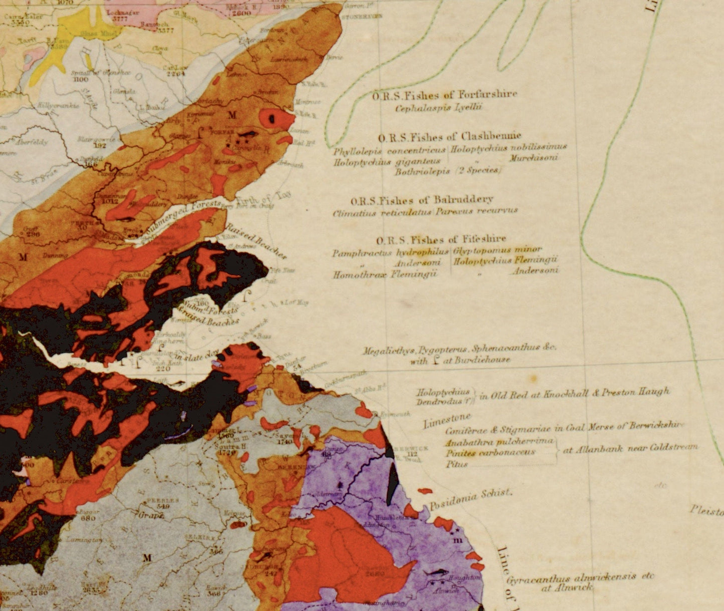 Palaeontological Map of the British Islands
