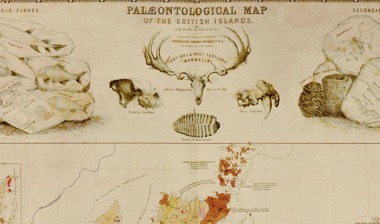 Palaeontological Map of the British Islands