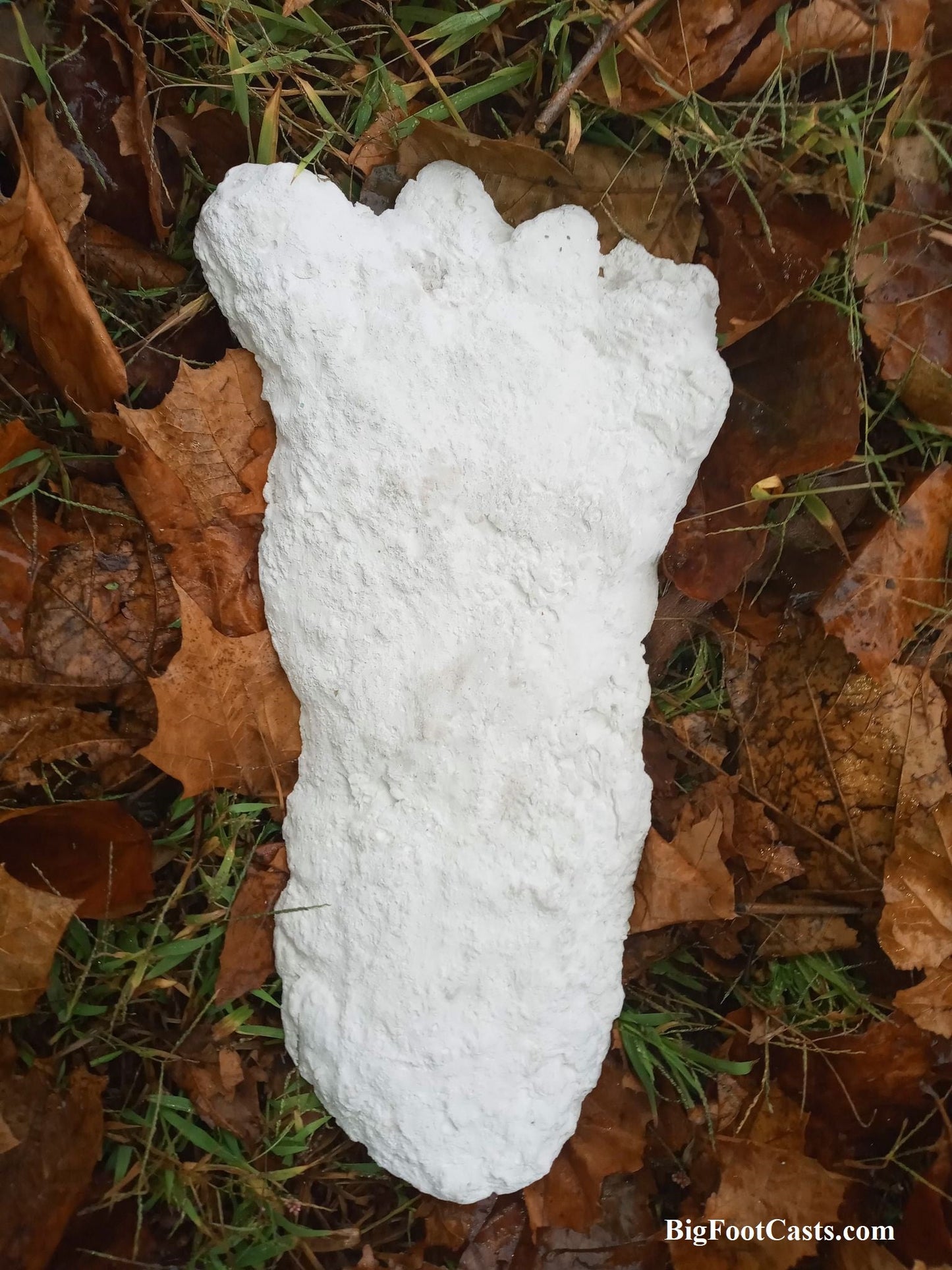 2019 North Carolina Bigfoot Print Cast Replica Limited Edition Footprint for sale Bigfoot plaster cast