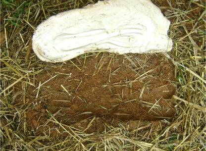 2019 North Carolina Bigfoot Print Cast Replica Limited Edition Footprint for sale Bigfoot plaster cast