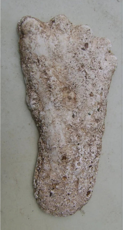2019 North Carolina Bigfoot Print Cast Replica Limited Edition Footprint for sale Bigfoot plaster cast