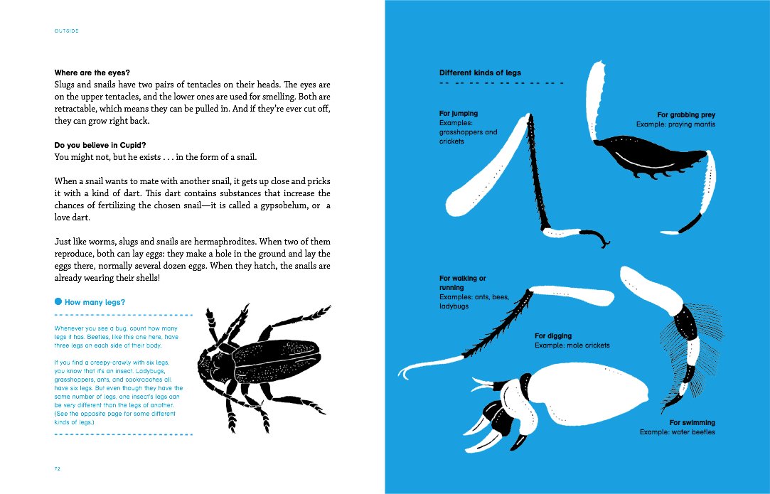 Outside: Discovering Animals by Maria Ann Peixe Dias, In?as Teixeira do Rosario, and Bernardo P. Carvalho