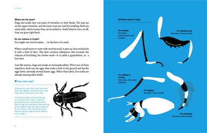 Outside: Discovering Animals by Maria Ann Peixe Dias, In?as Teixeira do Rosario, and Bernardo P. Carvalho