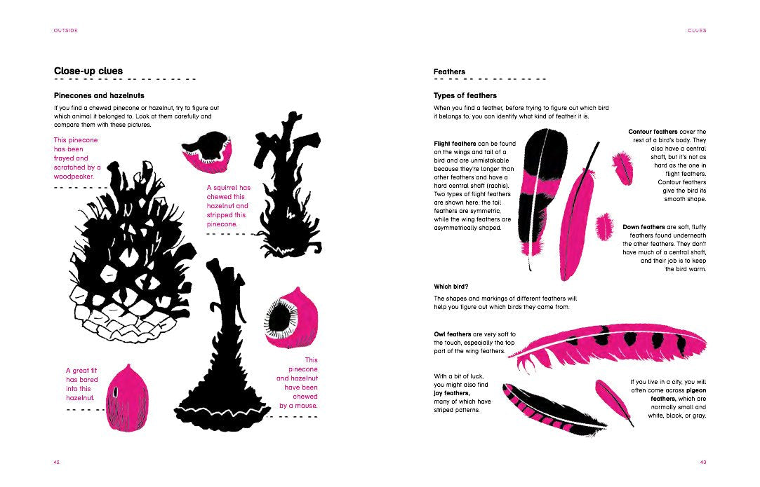 Outside: Discovering Animals by Maria Ann Peixe Dias, In?as Teixeira do Rosario, and Bernardo P. Carvalho