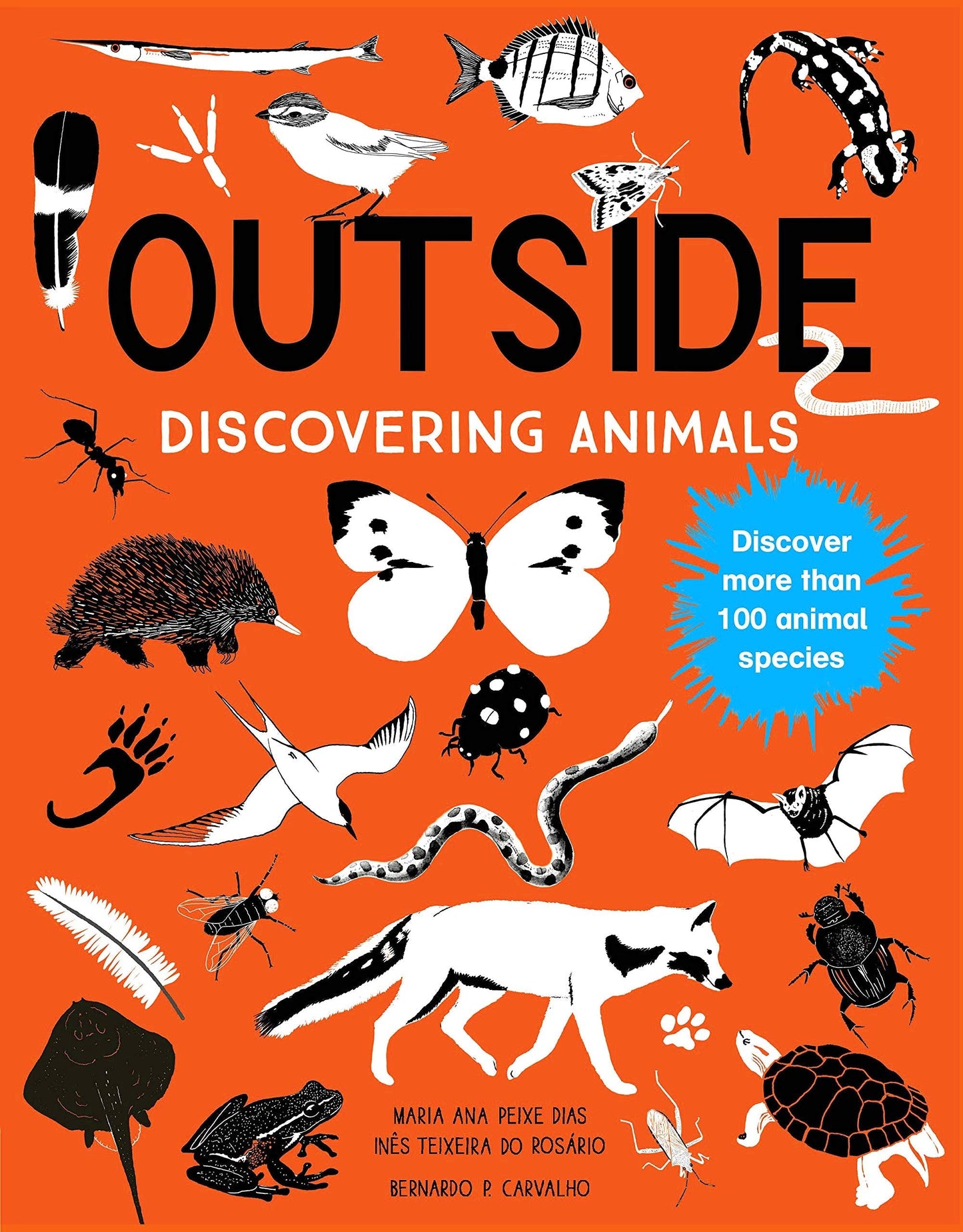 Outside: Discovering Animals by Maria Ann Peixe Dias, In?as Teixeira do Rosario, and Bernardo P. Carvalho