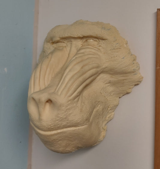 Baboon: Mandrill Baboon Death Cast #2 Replica Life Cast
