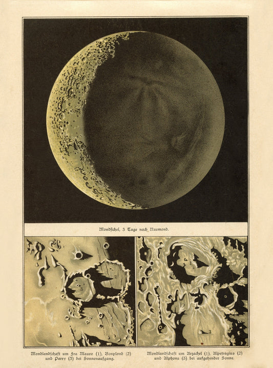 New Moon (Day after)