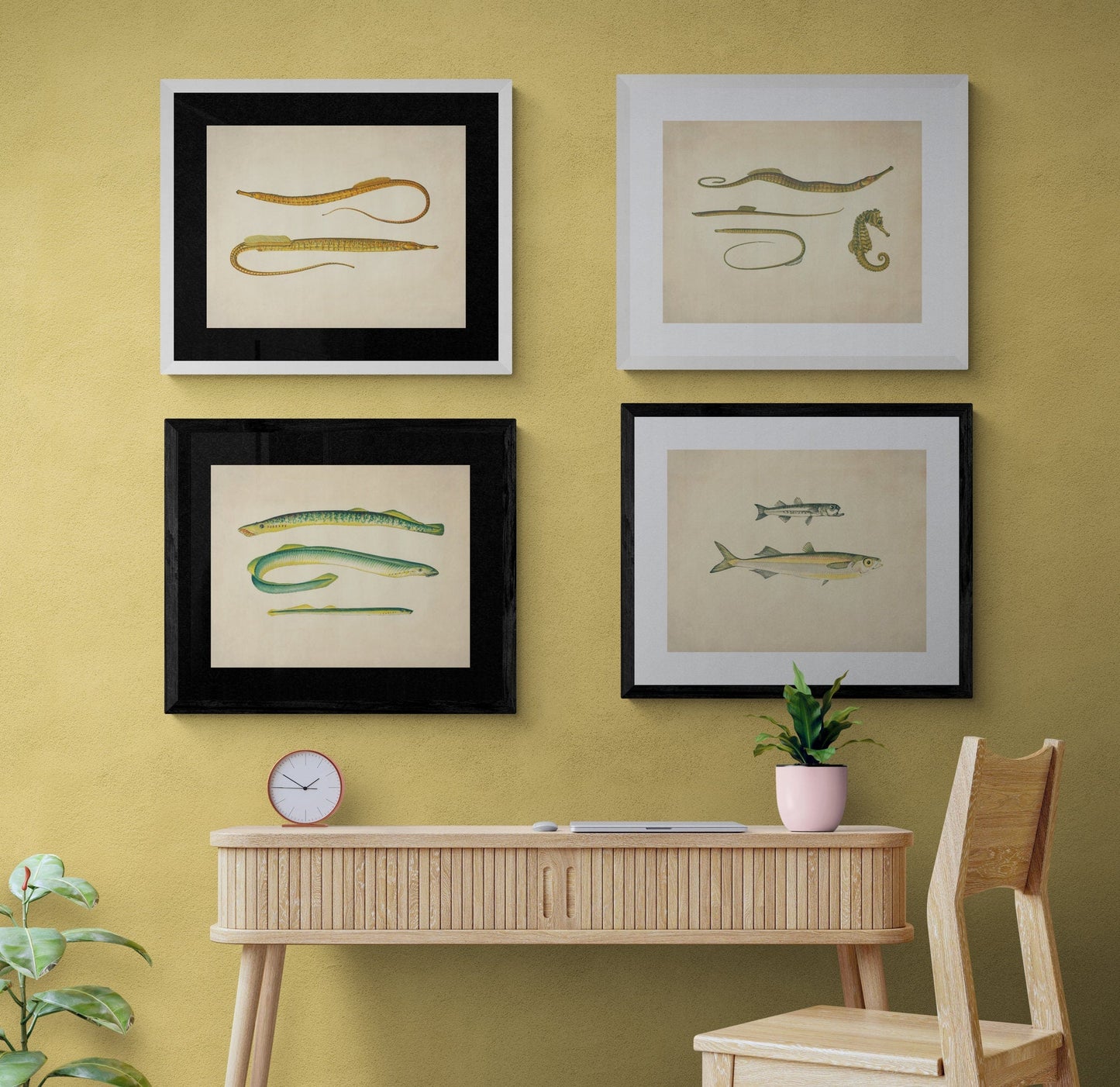 Ocean Pipefish Print