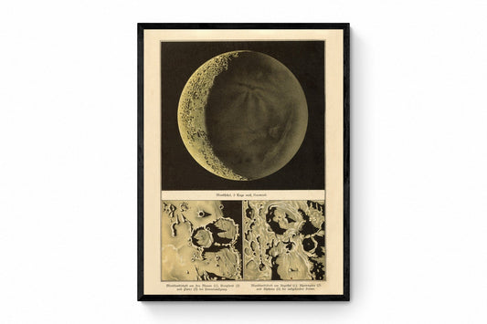 New Moon (Day after)