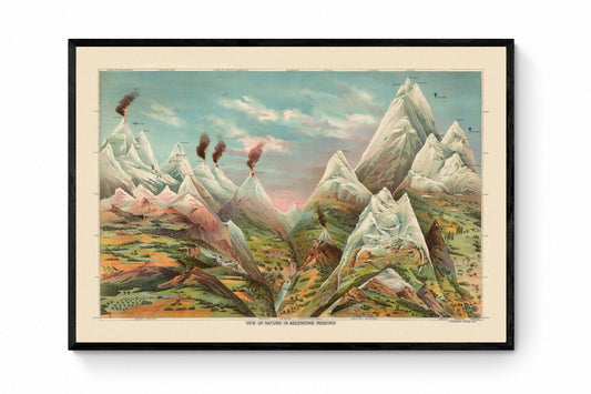 Nature in Ascending Regions Antique Reproduction 1893