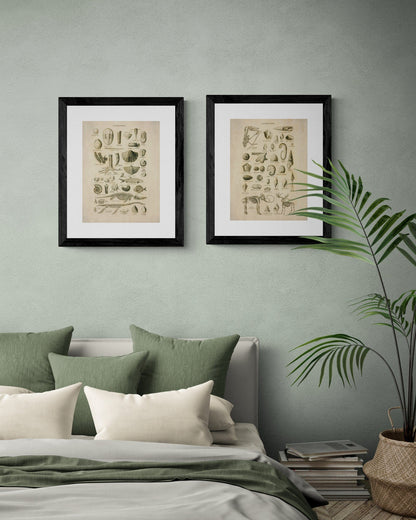 Palaentology Print