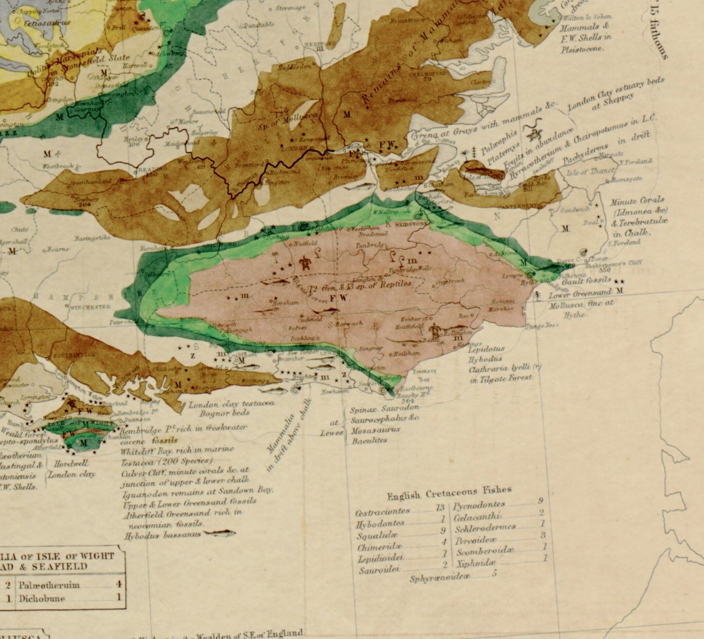 Palaeontological Map of the British Islands