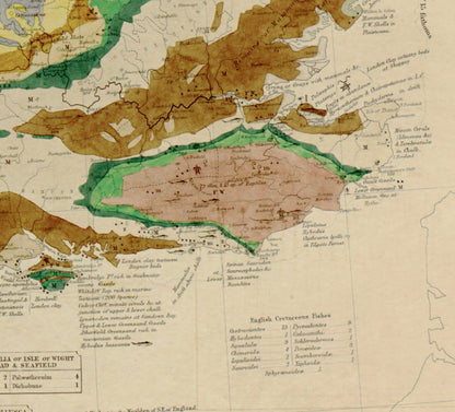 Palaeontological Map of the British Islands