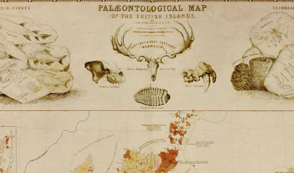 Palaeontological Map of the British Islands